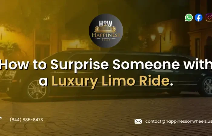 Luxury Limo Ride