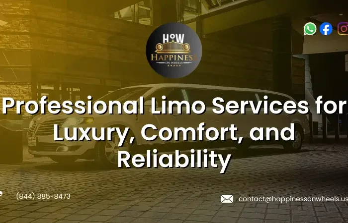 Professional Limo Services