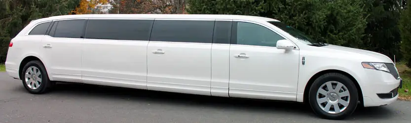 Professional Limo Services
