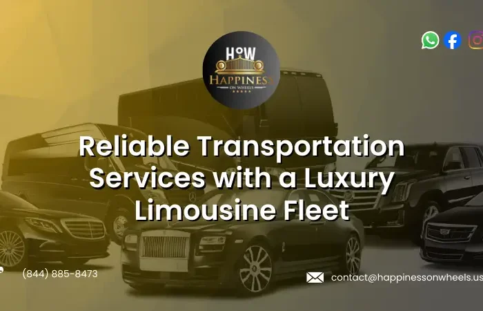 Luxury Limousine Fleet