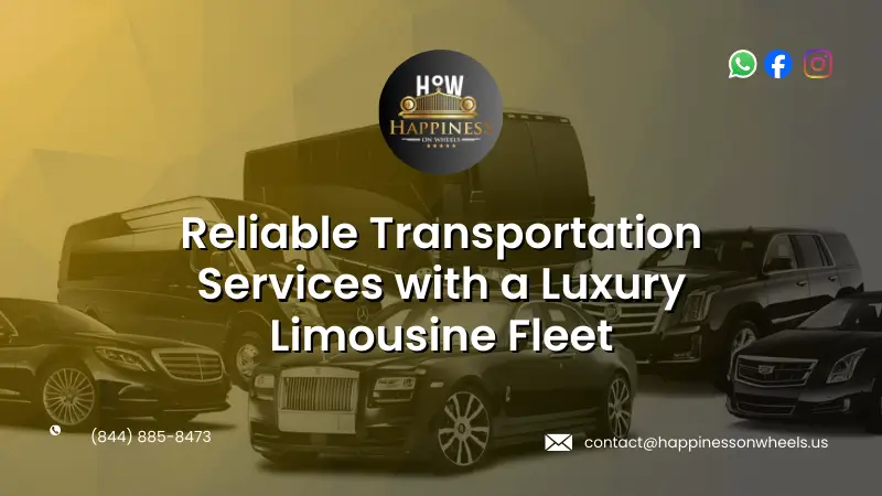 Luxury Limousine Fleet