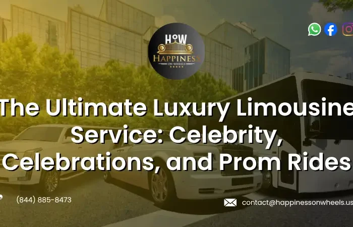 luxury limousine service